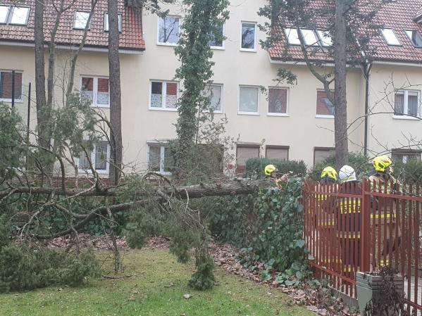 Usuwanie awarii po przejściu wichury. 