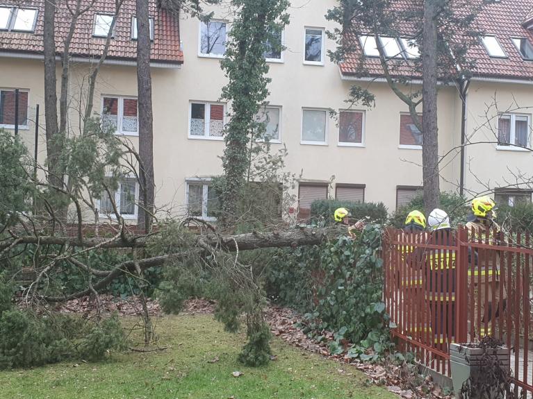 Usuwanie awarii po przejściu wichury. 